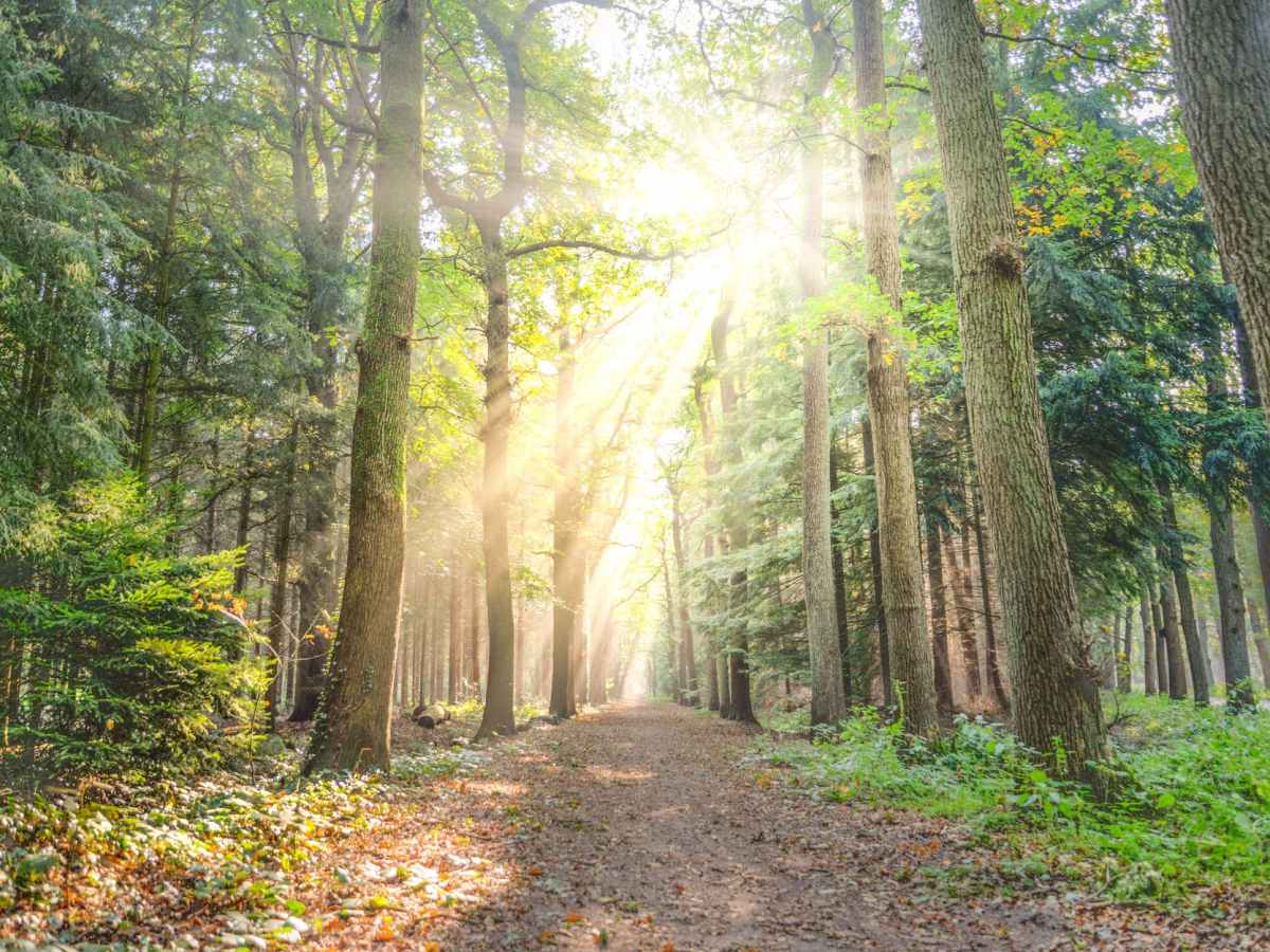 It’s Okay to Go&nbsp;Outside