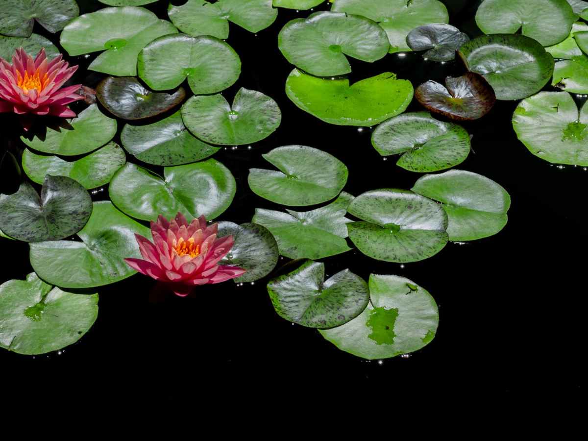 Change is ‘The&nbsp;Way’