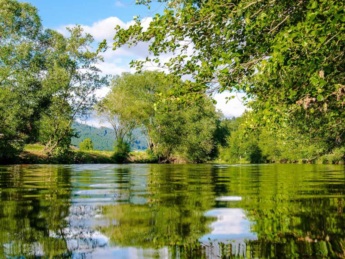 Be Like Water, or Taking the Plunge to Reconnect with&nbsp;Myself